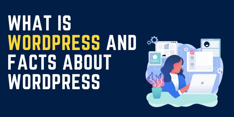 What Is WordPress And Facts About WordPress