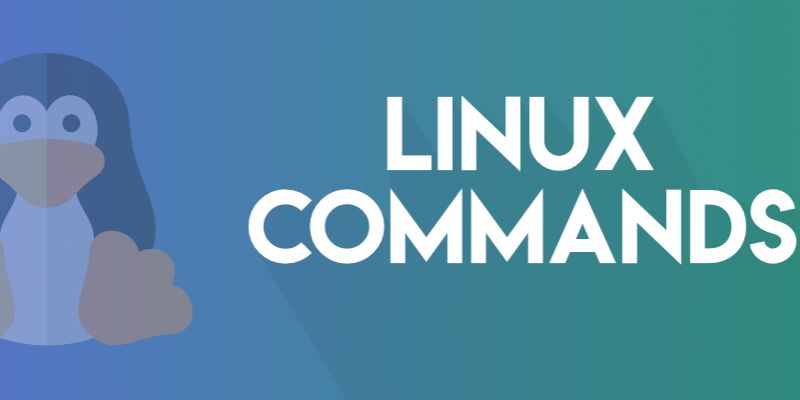 How to Understand Case Sensitivity in Linux Commands